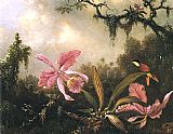 Martin Johnson Heade Orchids and Crimson Topaz Hummingbird painting